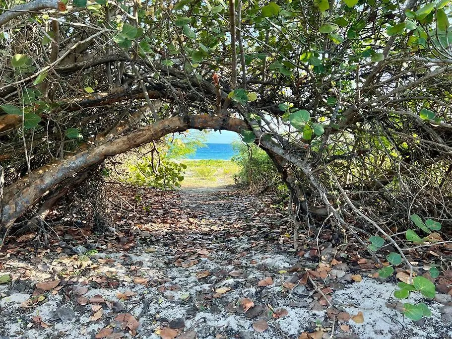 Villa Casa De Colores, Vieques