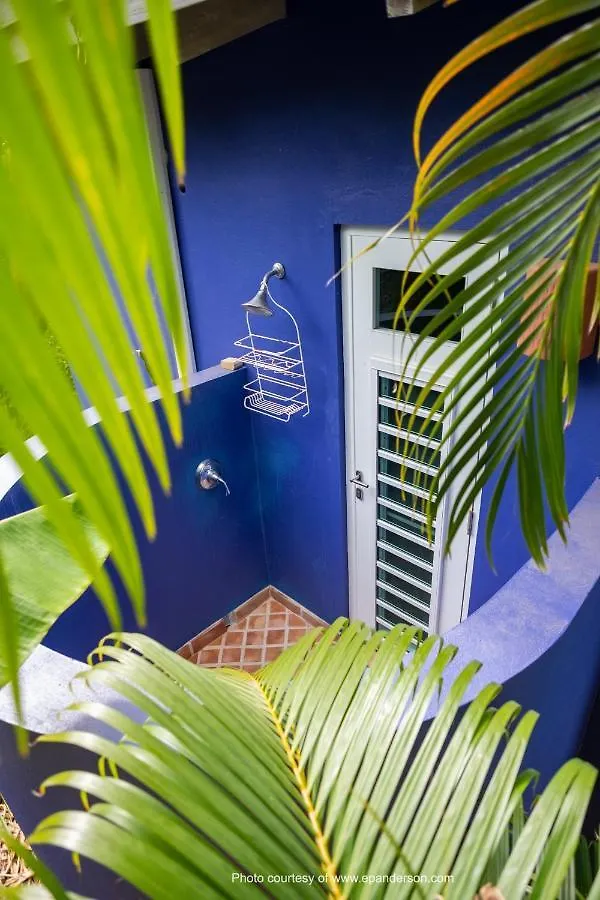 Casa De Colores, Vieques