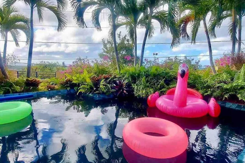 Casa de Colores, Vieques